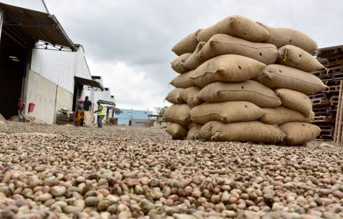 Chine : Après La Décision Par Rapport à L'acajou Africain, Pour un Boom Du Secteur Au Bénin