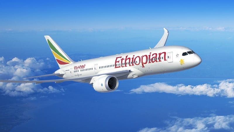 Afrique/Transport Aérien : Ethiopian Airlines, Désormais Au-delà Du Billet, Un Tout Intégré Avec Hôtel, Assurances Et Autres
