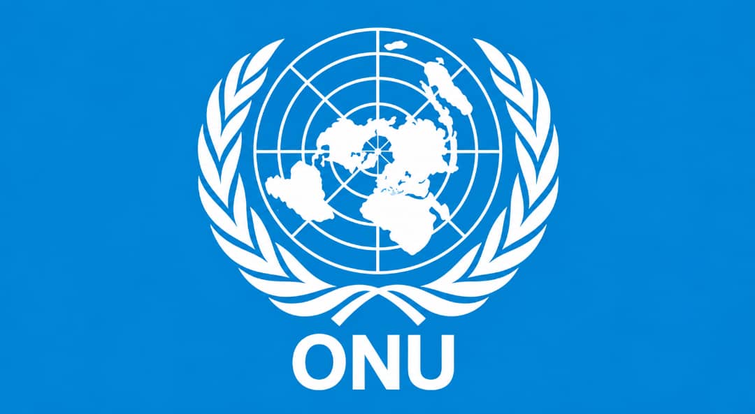 Onu : Une Résolution Pour Reconnaître Les Réparations Relatives à La Traite Négrière