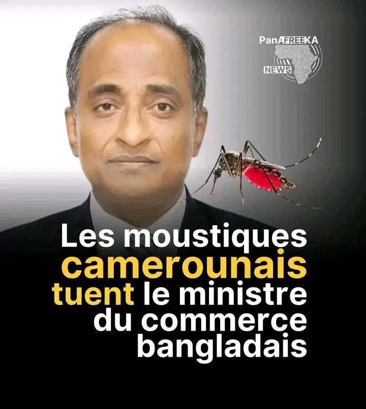 Cameroun/Après Une Réunion Internationale à Yaoundé : Les Moustiques Tuent Un Ministre du Commerce Asiatique
